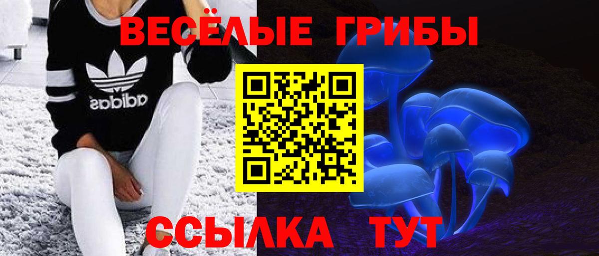 Галлюциногенные грибы мицелий  Псилоцибиновые грибы Psilocybine cubensis  Вход с VPN  закладки  Ефремов 