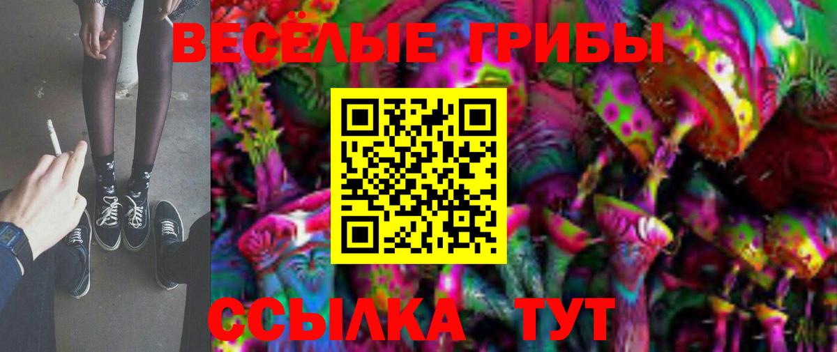 Галлюциногенные грибы Psilocybine cubensis Ефремов